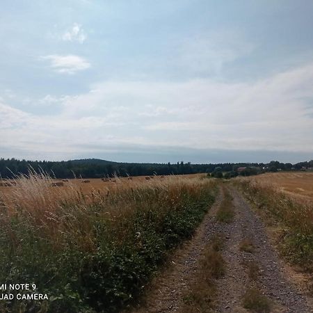 Apartmany Skala Příbram Buitenkant foto